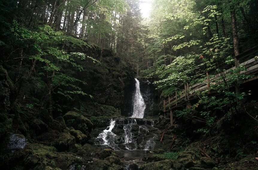 nova stream 651750690 vision nova stream vision number