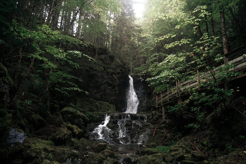 nova stream 651750690 vision nova stream vision number