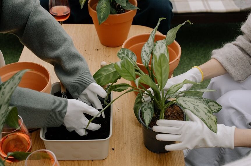 new gardening product x details